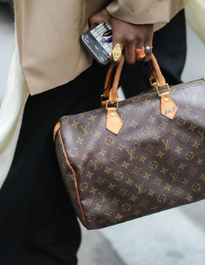 Louis Vuitton Bags